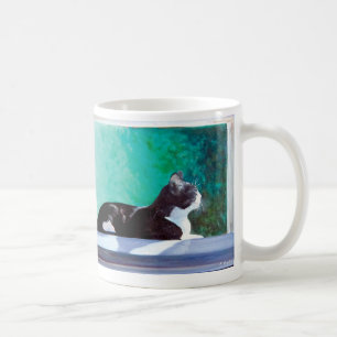 Kitten dans la fenêtre art original tasse à caf