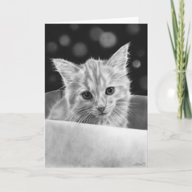 Kitten dans une boîte Carte de voeux (Devant)