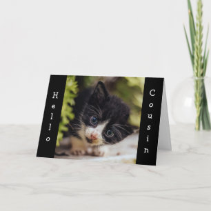 KITTEN DIT "HEUREUX ANNIVERSAIRE" CARTE DE COUSIN