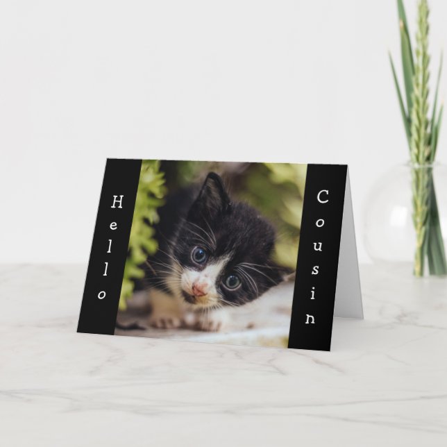KITTEN DIT "HEUREUX ANNIVERSAIRE" CARTE DE COUSIN (Devant)
