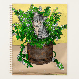 Kitten gris dans le seau de la capture