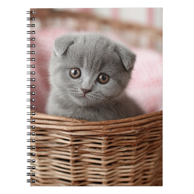 Kitten gris en Carnet panier (Devant)