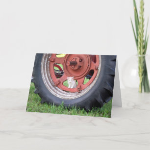 Kitten Jouer dans un tracteur Carte de voeux
