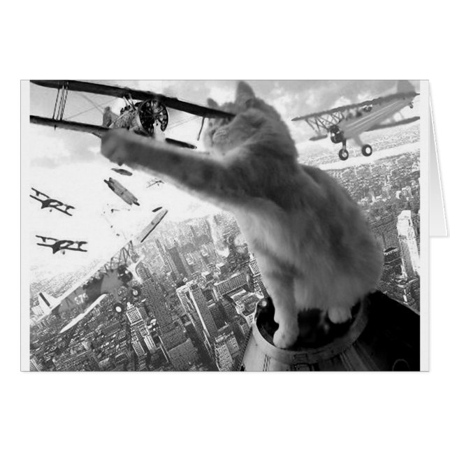 Kitten Kong (Devant horizontal)