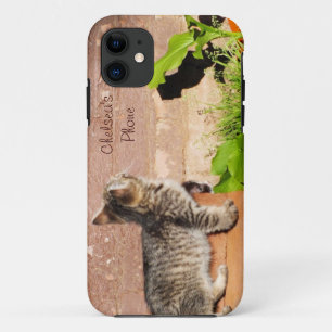 Kitten Lecture mur iPhone 5 Coque