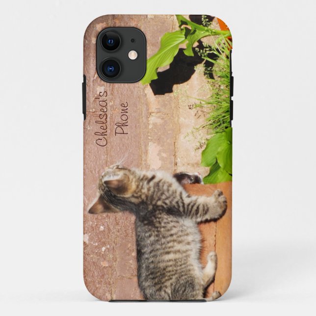 Kitten Lecture mur iPhone 5 Coque (Dos)