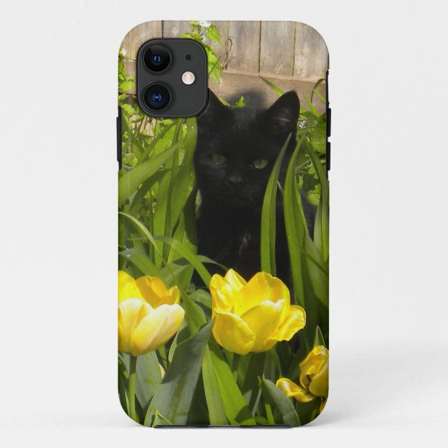 Kitten noir, tulipes jaunes. iPhone 5 coque (Dos)