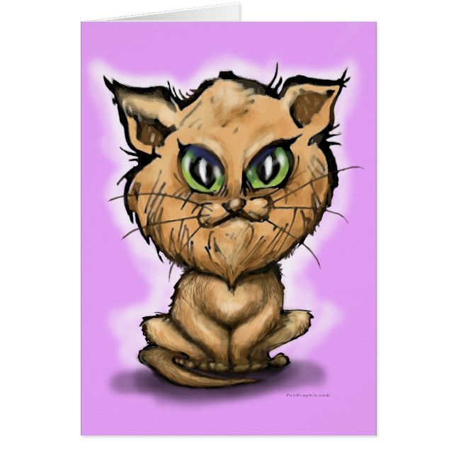 Kitten perse (Devant)