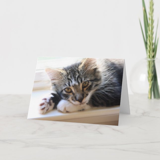 Kitten Tout sur vous Carte de la Fête des Mères (Devant)