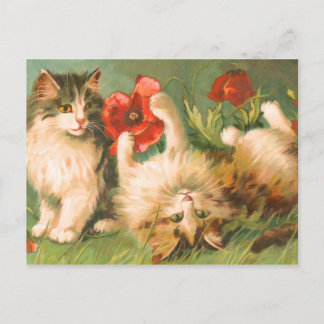 Kittens à Play carte postale
