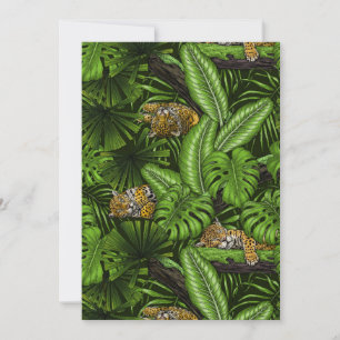 Kittés de la jungle