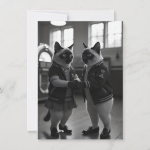 Kitties Sock Hop