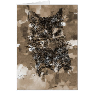 Kitty