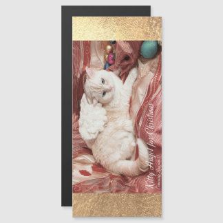 Kitty Angel pour Noël