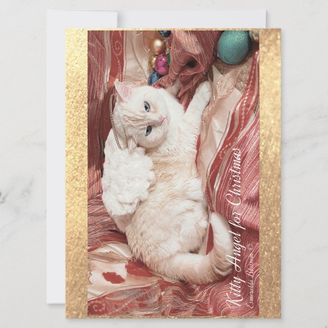 Kitty Angel pour Noël (Devant)
