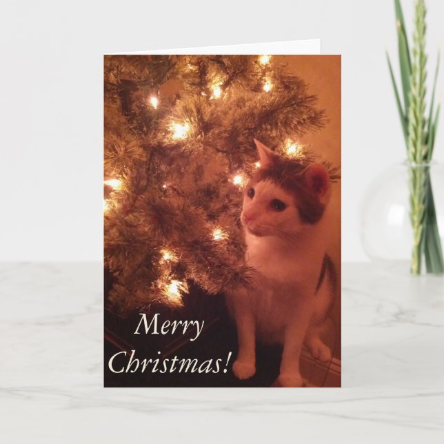 Kitty by the Christmas Tree Carte de voeux (Devant)