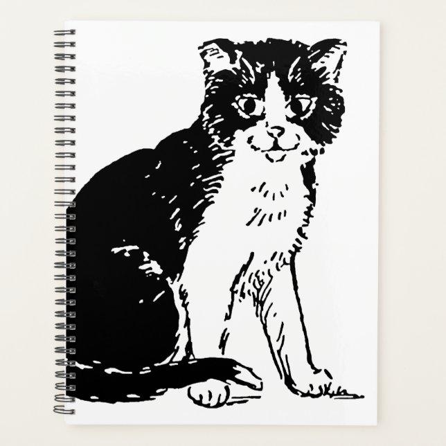 Kitty Cat Beaux-Arts (Devant)