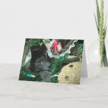 Kitty Dans Un Arbre De Noël Carte De Voeux