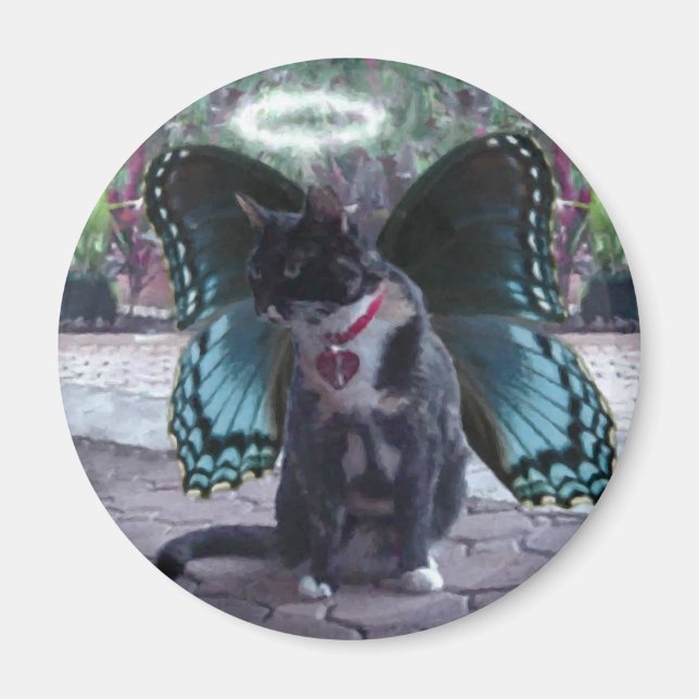 Kitty Fairy Angel Kelly Magnet (Devant)