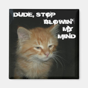 Kitty "MEC, ARRÊTE DE BLOQUER MON ESPRIT" Magnet