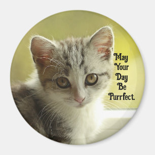 Kitty Parfaite Magnet