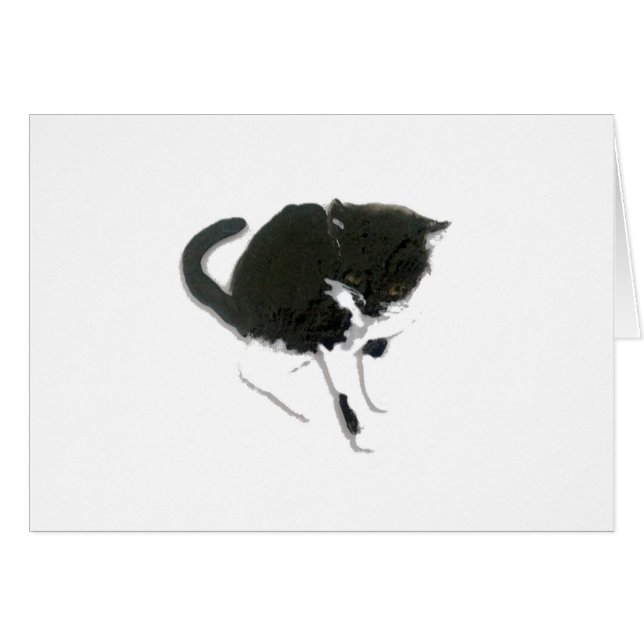 Kitty Peinture Chat noir et blanc (Devant horizontal)
