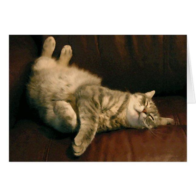 Kitty satisfait (Devant horizontal)