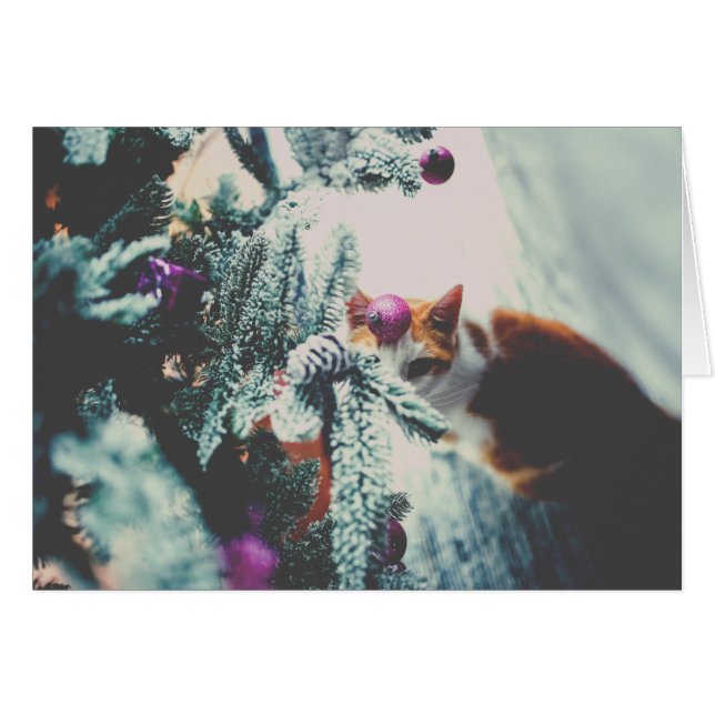 Kitty Under the Christmas Tree (Devant horizontal)