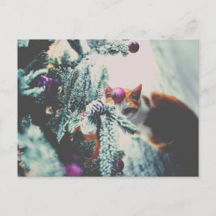 Kitty Under the Christmas Tree Carte postale
