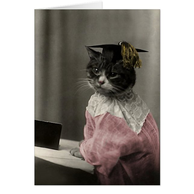 Kitty Valedictorian (Devant)
