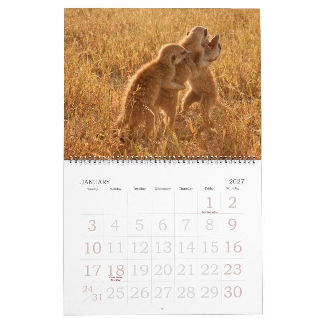 KMP Meerkats - calendrier 2009 (Jan 2027)