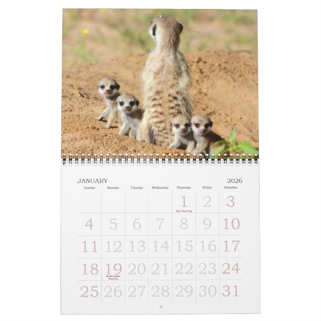 KMP Meerkats - calendrier 2015 (Jan 2026)
