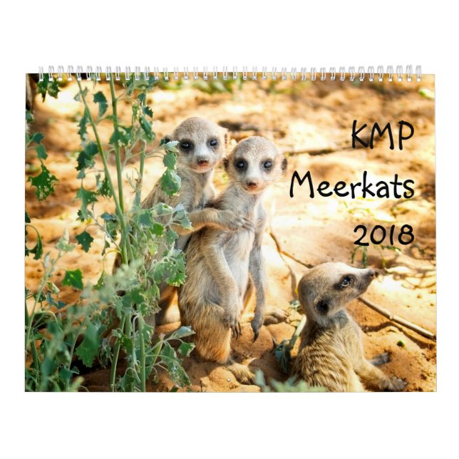 KMP Meerkats - calendrier 2018 (Protection)