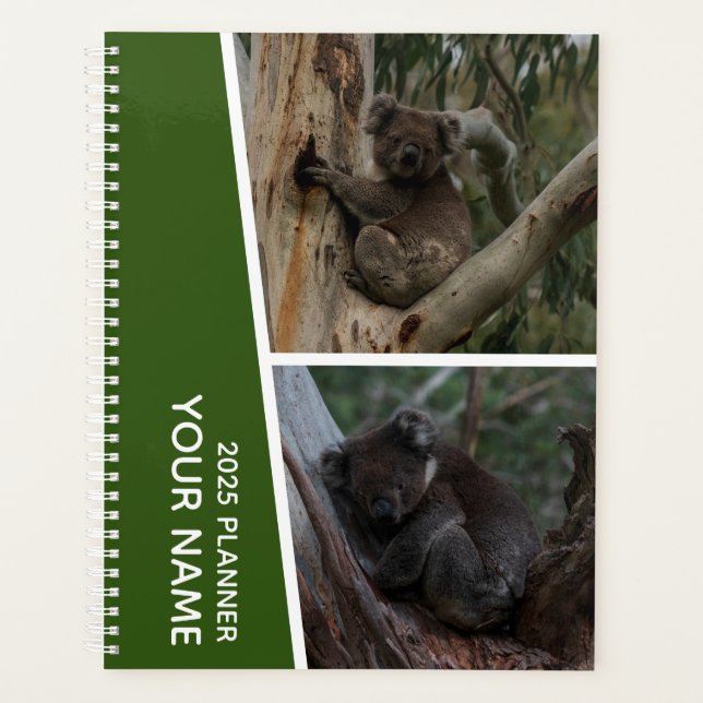 Koala Australia Photo Collage, Green 2025 (Devant)