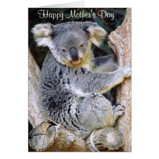 Koala Bear Love_