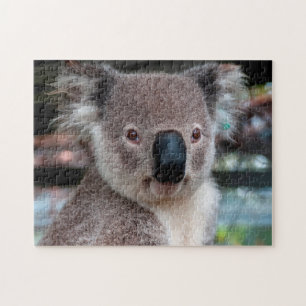 Koala Close Up, Jigsaw Puzzle