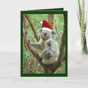 Koala dans la carte de Noël de photo de casquette