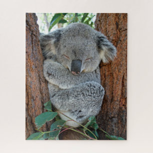 Koala endormie, puzzle