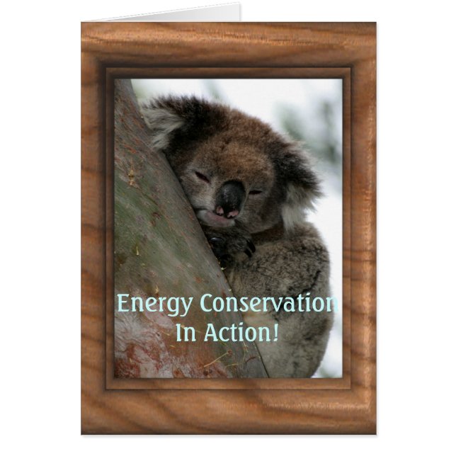 Koala - Energy Conservationist Extraordinaire ! (Devant)