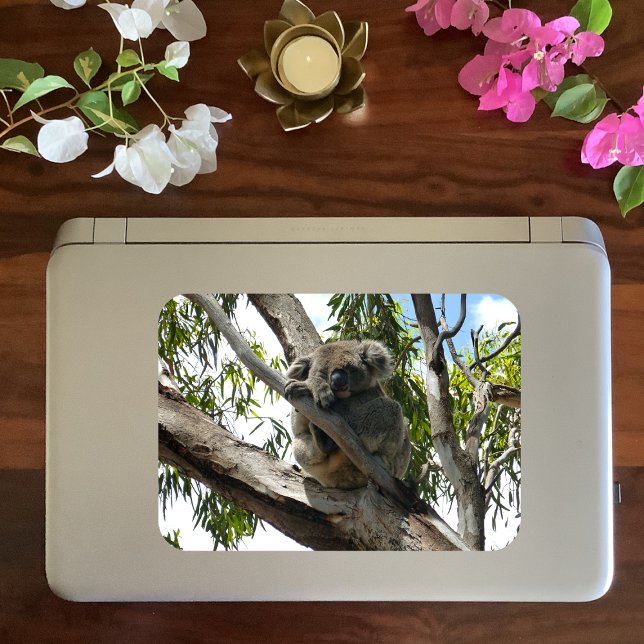 Koala - Étiquettes Cadeaux couchés (Créateur téléchargé)