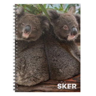 Koala Joeys violet et crumble carnet