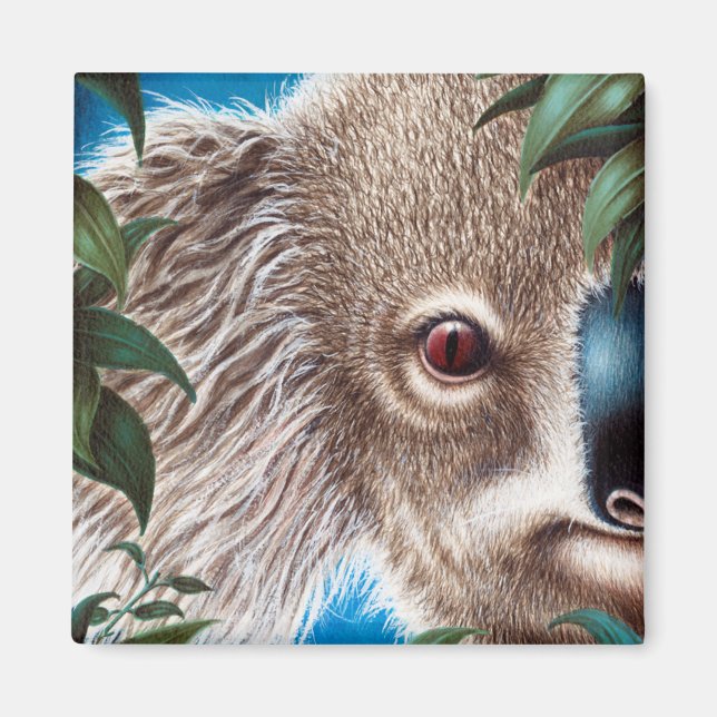 Koala Magnet (Devant)