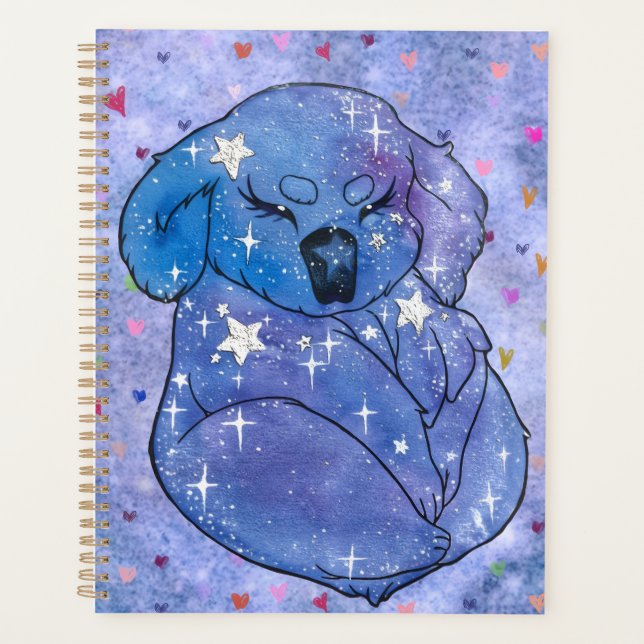 Koala nomme Sept (Devant)