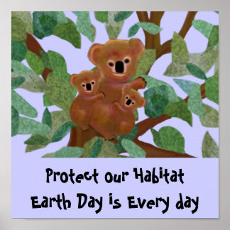 Koala protéger notre habitat Poster