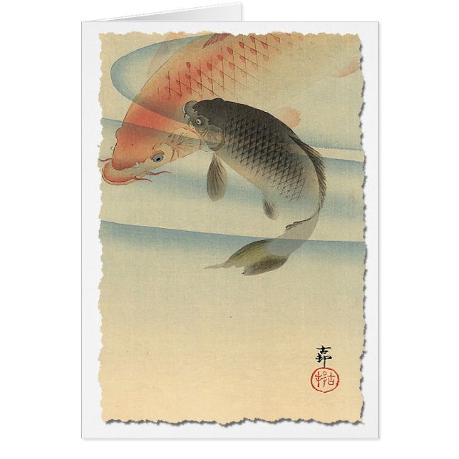 Koi (Devant)