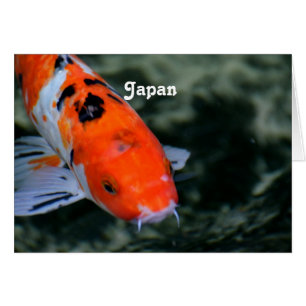 Koi japonais