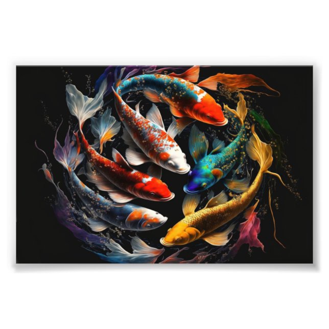 Koi, Koi Fish, Art Print, Poster (Devant)