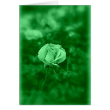 Koinonia "Bourse Sur Le Chemin"