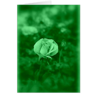 Koinonia "Bourse Sur Le Chemin"