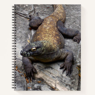 Komodo Dragon Nature Journal